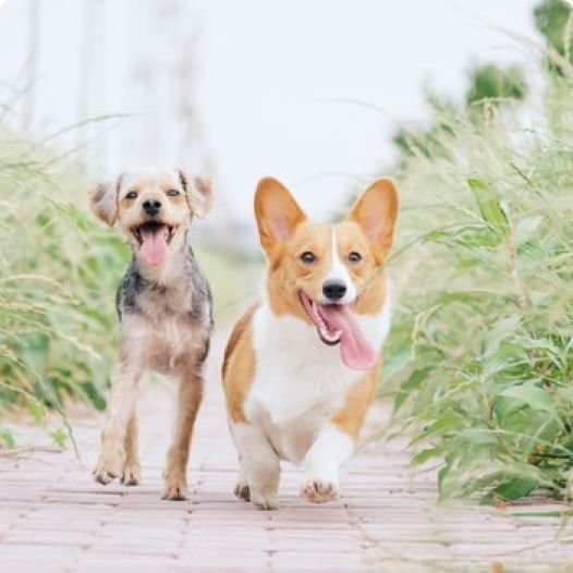 Fertilizer spreaders